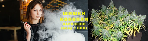СК Вяземский