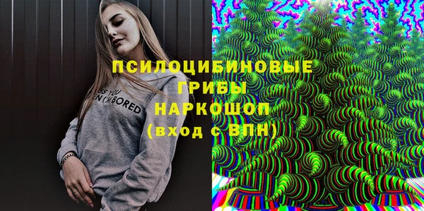 СК Вяземский