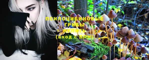mdpv Вязники